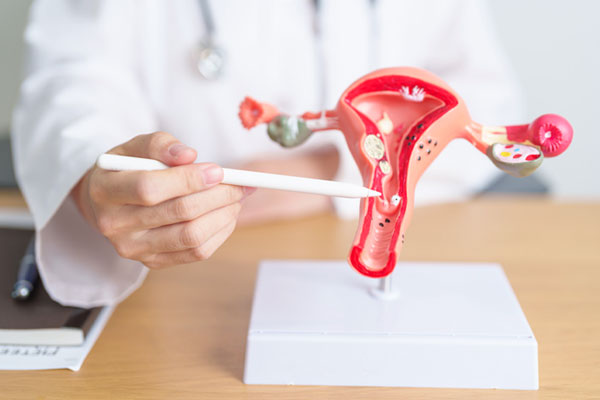 Basic Fertility Treatments