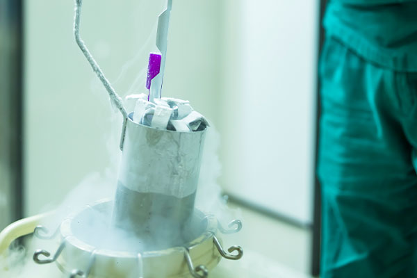 Sperm, Ovum & Embryo Freezing (Vitrification)