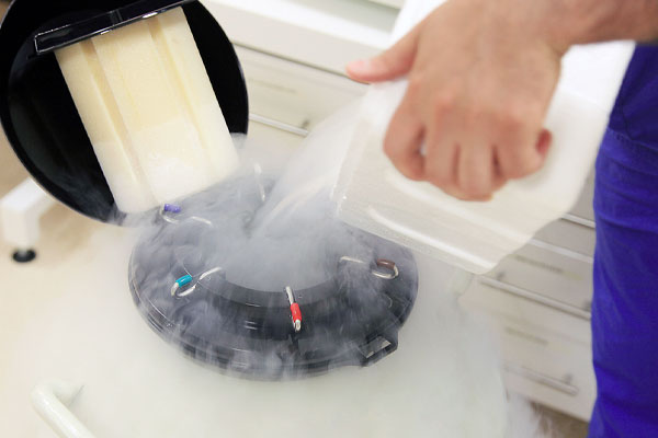 Frozen Embryo Transfer