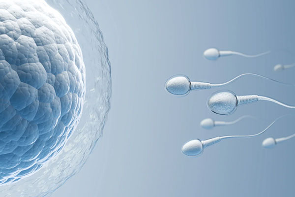 Percutaneous Epididymal Sperm Aspiration (PESA)