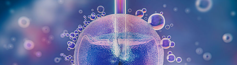 Embryo Cryo-Preservation